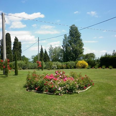 Villa Jolanda Fratte Rosa Exteriör bild